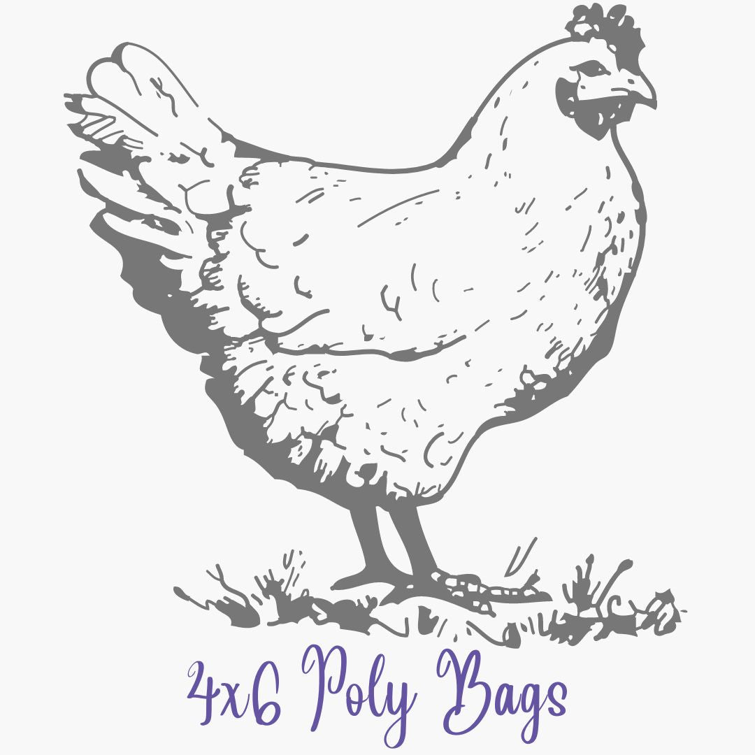 Poly Bags - 5 count (4x6)