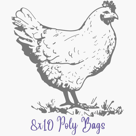 Poly Bags - 1 count (8x10)